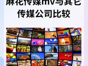 麻花传媒MV一二三区别在哪里看【麻花传媒 MV 一二三的区别在哪里可以看？】