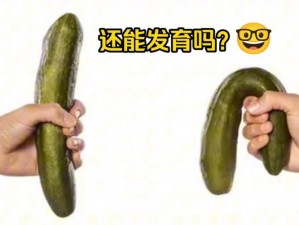 小学生的坤坤放进女生的坤里会发生什么？