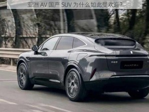 亚洲 AV 国产 SUV 为什么如此受欢迎？