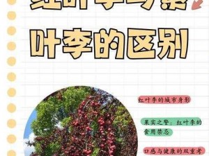 君临天下牧马场：植物种植的奥秘与用途