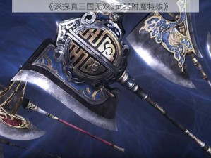 《深探真三国无双5武器附魔特效》