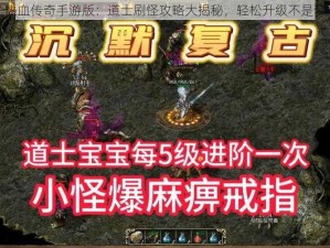 热血传奇手游版：道士刷怪攻略大揭秘，轻松升级不是梦