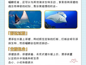 明星潜水规则 1——探索海底世界的必备指南