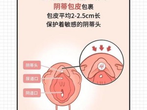 他为什么总喜欢吸着我的小豆豆？这样的行为是否正常？我该如何应对？