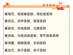 为什么会有公车之狼？我们应该如何应对？