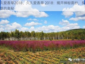 久久爱香草2018、久久爱香草 2018：揭开神秘面纱，探寻香草的奥秘