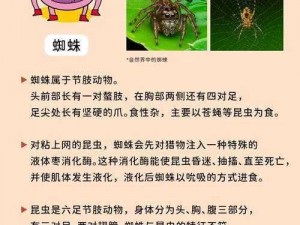 为什么精灵的肚子里会满满的都是蜘蛛卵？