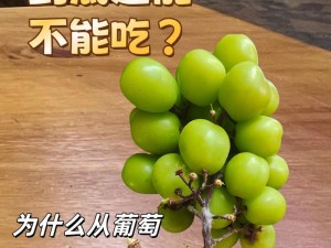 为什么葡萄夹的时候不能夹烂也不能掉出来？