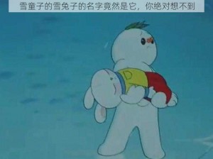 雪童子的雪兔子的名字竟然是它，你绝对想不到