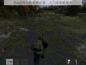 DayZ独立版新手必读：入门全攻略解析