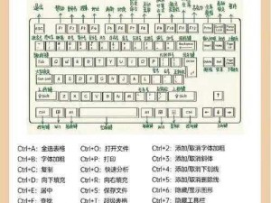 《永恒之柱：设置技能快捷键的实用方法》