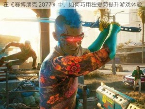 在《赛博朋克 2077》中，如何巧用独爱菊提升游戏体验