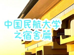 为什么大学生宿舍会有飞机？china free 又代表什么？