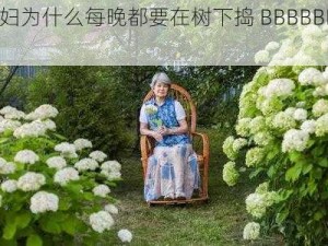 老妇为什么每晚都要在树下捣 BBBBBBB？