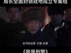 黑手党2帝国湾警察档案揭秘：全面解读警局精英力量与职责担当