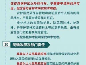 森林升级长矛，提升实力的关键