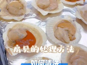 宝宝的扇贝为什么这么会夹？探索其中的原因和解决办法