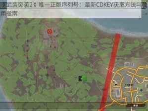 《武装突袭2》唯一正版序列号：最新CDKEY获取方法与使用指南