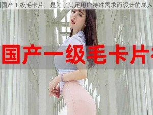 中国国产 1 级毛卡片，是为了满足用户特殊需求而设计的成人用品