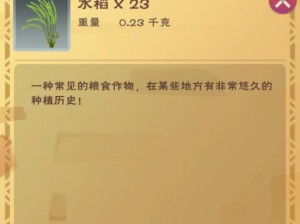 创造与魔法水稻高效获取攻略：掌握方法轻松育种丰收秘籍揭秘