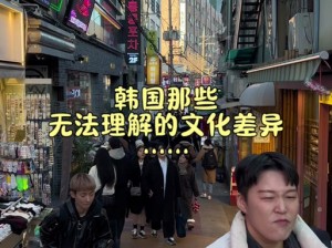 日本欧美韩国的文化差异如此之大，我们应该如何应对？