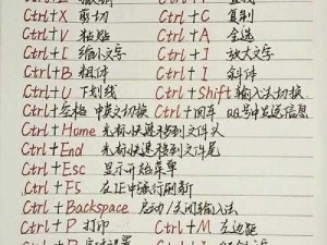 如何输入孤胆2秘籍教程详解：初探神秘快捷键操作秘法