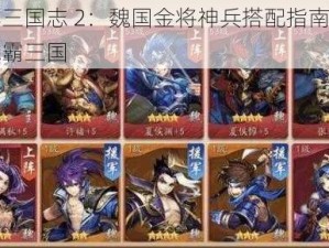 少年三国志 2：魏国金将神兵搭配指南，助你称霸三国