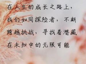 边缘战士面临难题：如何突破壁垒限制成功进入？挑战与应对的探索之路