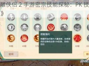 《神雕侠侣 2 手游密宗技能探秘：PK 技巧大揭秘》