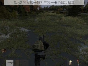 DayZ 独立版卡顿？三秒一卡的解决秘籍