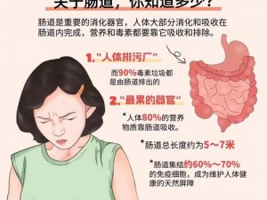 SJ 片：提高免疫力，呵护肠道健康的优质产品