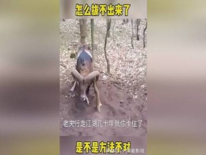 老师下面太紧拔不出来怎么矫正呢_老师下面太紧拔不出来，怎么办？