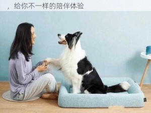 zo0kfacebook 人狗马：多功能智能宠物伴侣，给你不一样的陪伴体验