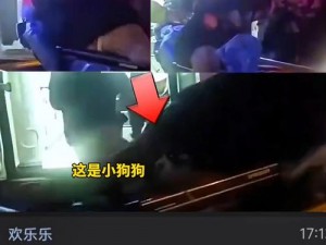 人狗锁在一起的原理是什么 人狗锁在一起的原理是什么？