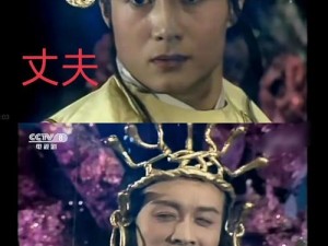 少年西游记橙将小白龙缘分全攻略：深入解析白龙情缘系统解析与升级方法