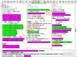 《轩辕传奇手游红名消除攻略：快速恢复正常身份的实用方法》