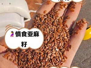 麻豆精产一二三产区的特点是什么？如何选择适合的产区？