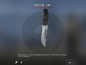 官方推出的 csgo 官方观看录像工具