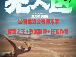 国精产品无人区一码二码三 M 是什么？为何无人区需要它们？如何使用？