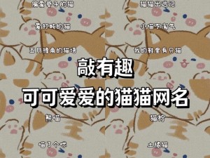 猫咪成人地域网名怎样取？不懂这些技巧可不行