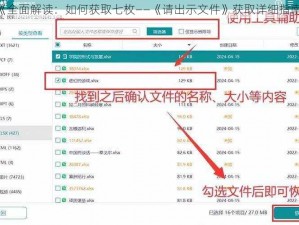 《全面解读：如何获取七枚——《请出示文件》获取详细指南》