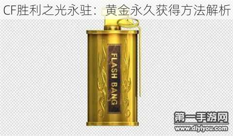 CF胜利之光永驻:黄金永久获得方法解析