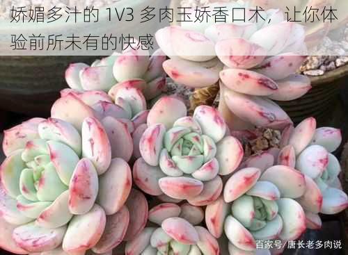 娇媚多汁的 1V3 多肉玉娇香口术，让你体验前所未有的快感