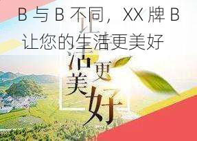 B 与 B 不同，XX 牌 B 让您的生活更美好