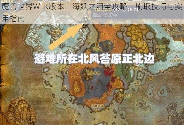 魔兽世界WLK版本：海妖之泪全攻略，刷取技巧与实用指南