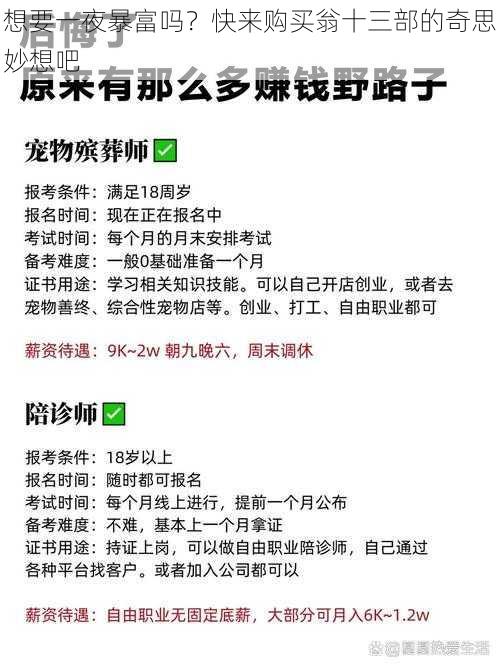 想要一夜暴富吗？快来购买翁十三部的奇思妙想吧