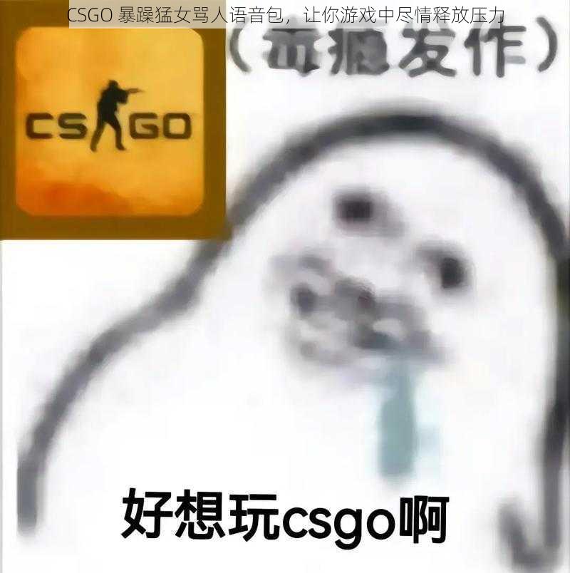 CSGO 暴躁猛女骂人语音包，让你游戏中尽情释放压力