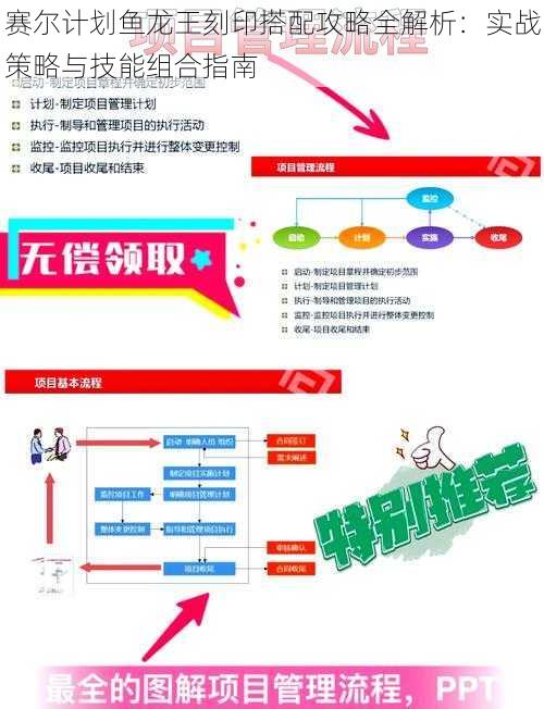 赛尔计划鱼龙王刻印搭配攻略全解析：实战策略与技能组合指南