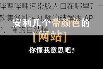 哔哩哔哩污染版入口在哪里？一款集各种污视频的破解版 APP，懂的自然懂