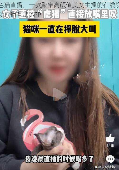 色猫直播，一款聚集高颜值美女主播的在线视频直播互动 APP